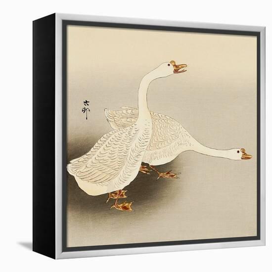 Two White Geese-Koson Ohara-Framed Premier Image Canvas