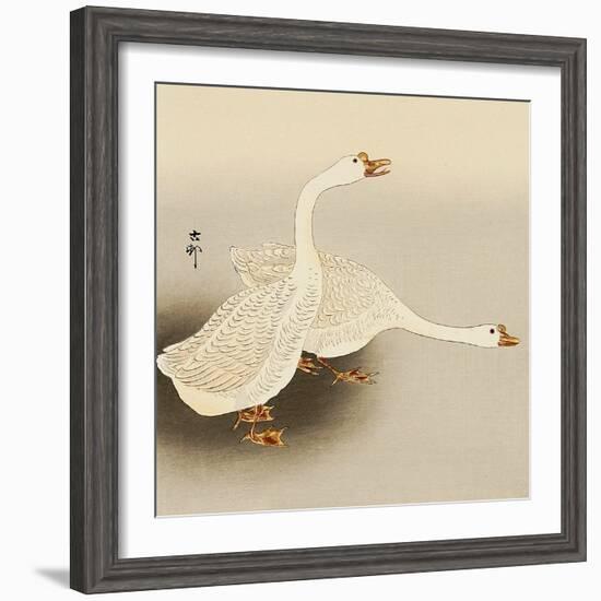 Two White Geese-Koson Ohara-Framed Giclee Print