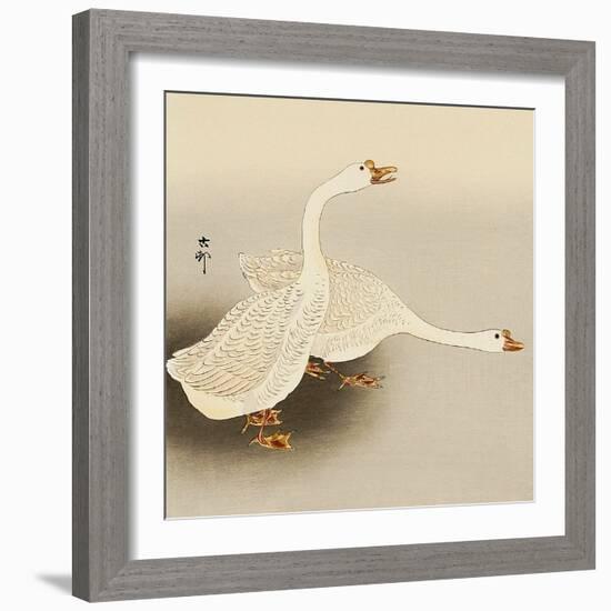 Two White Geese-Koson Ohara-Framed Giclee Print