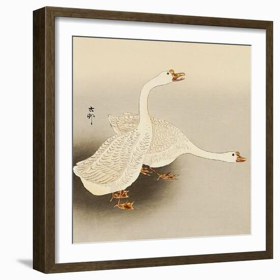 Two White Geese-Koson Ohara-Framed Giclee Print