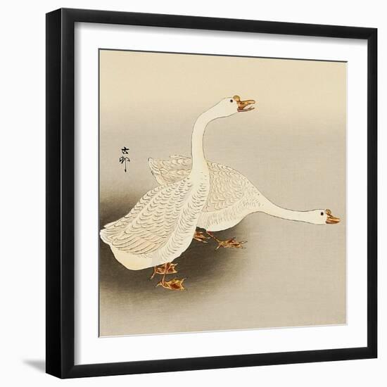 Two White Geese-Koson Ohara-Framed Giclee Print