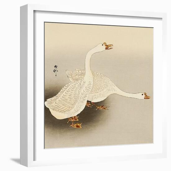 Two White Geese-Koson Ohara-Framed Giclee Print