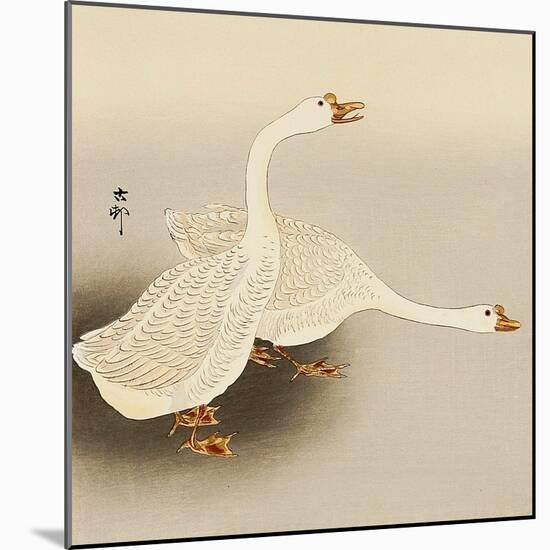 Two White Geese-Koson Ohara-Mounted Giclee Print