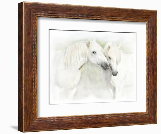 Two White Horses of Camargue, French, Nuzzling-Sheila Haddad-Framed Photographic Print