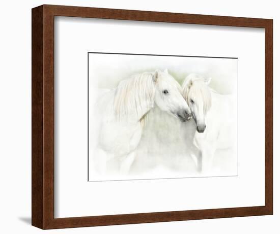 Two White Horses of Camargue, French, Nuzzling-Sheila Haddad-Framed Photographic Print