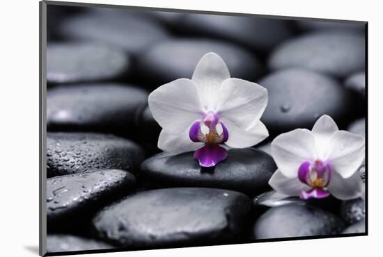 Two White Orchid with Therapy Stones-crystalfoto-Mounted Photographic Print
