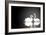 Two White Swans On Black Background-frenta-Framed Art Print