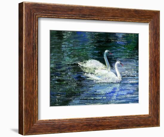 Two White Swans On Lake-balaikin2009-Framed Art Print