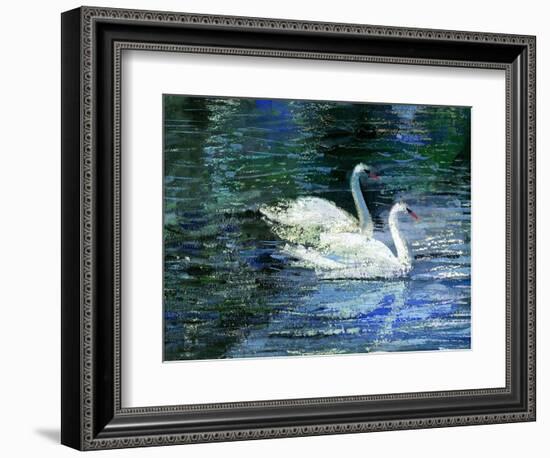 Two White Swans On Lake-balaikin2009-Framed Art Print