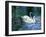 Two White Swans On Lake-balaikin2009-Framed Art Print