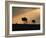 Two Wildebeest, at Sunset, Kenya-Terry Andrewartha-Framed Photographic Print