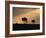 Two Wildebeest, at Sunset, Kenya-Terry Andrewartha-Framed Photographic Print