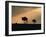 Two Wildebeest, at Sunset, Kenya-Terry Andrewartha-Framed Photographic Print