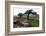 Two Windswept Trees, Near Hexworthy, Dartmoor, Devon, England, United Kingdom, Europe-David Lomax-Framed Photographic Print