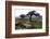 Two Windswept Trees, Near Hexworthy, Dartmoor, Devon, England, United Kingdom, Europe-David Lomax-Framed Photographic Print