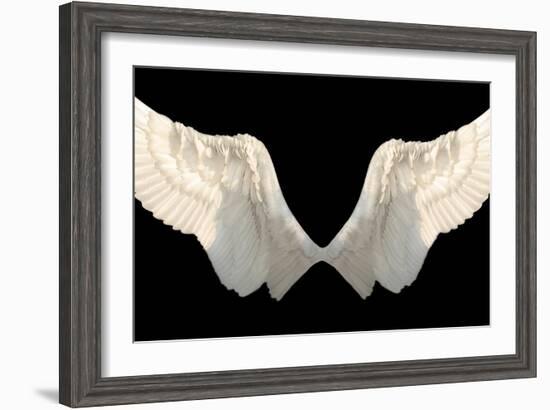 Two Wings Isolated-Lilun-Framed Art Print