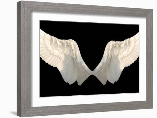 Two Wings Isolated-Lilun-Framed Art Print