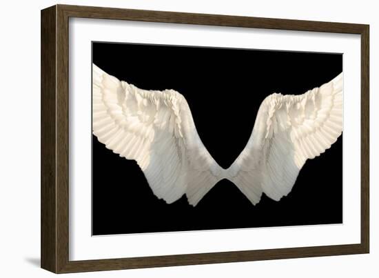 Two Wings Isolated-Lilun-Framed Art Print
