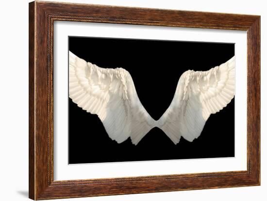 Two Wings Isolated-Lilun-Framed Art Print