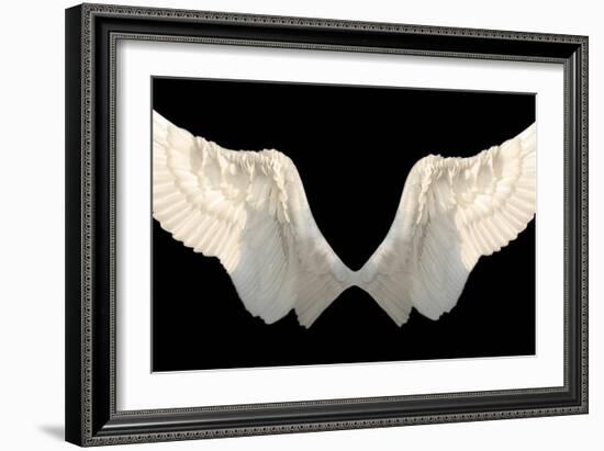 Two Wings Isolated-Lilun-Framed Art Print