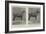 Two Winners at the Agricultural Hall Hackney Show-null-Framed Giclee Print