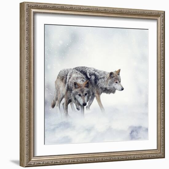 Two Wolves Walking in the Snow-Svetlana Foote-Framed Photographic Print