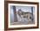 Two Wolves-Rusty Frentner-Framed Giclee Print