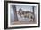 Two Wolves-Rusty Frentner-Framed Giclee Print