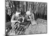 Two Women Wiring Cable Board For 10 KW Broadcast Transmitter at General Electric Plant-Alfred Eisenstaedt-Mounted Photographic Print