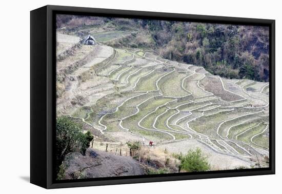 Two Women Working, India-Annie Owen-Framed Premier Image Canvas