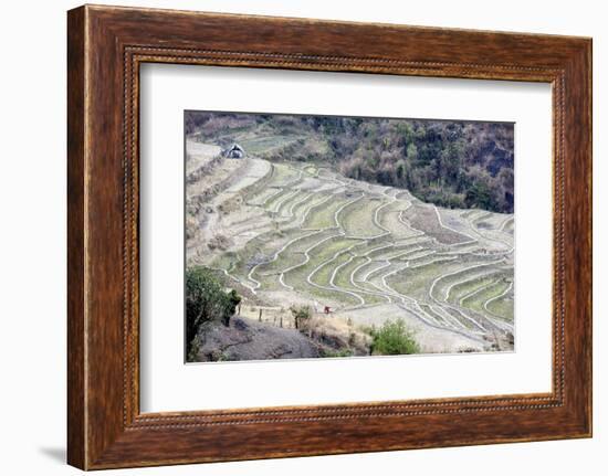 Two Women Working, India-Annie Owen-Framed Photographic Print