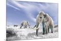 Premium Giclee Print