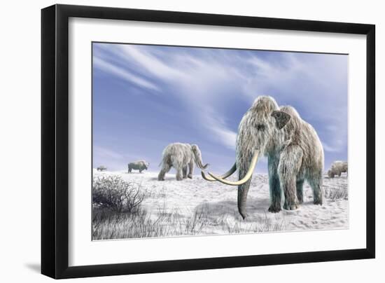 Art Print, , large