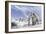Two Woolly Mammoths in a Snow Covered Field with a Few Bison-null-Framed Premium Giclee Print