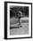 Two Year Old Golfer Bobby Mallick Taking a Swing-Al Fenn-Framed Photographic Print