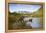 Two Year Old Grizzly Bears on Riverbank at Kinak Bay-Paul Souders-Framed Premier Image Canvas