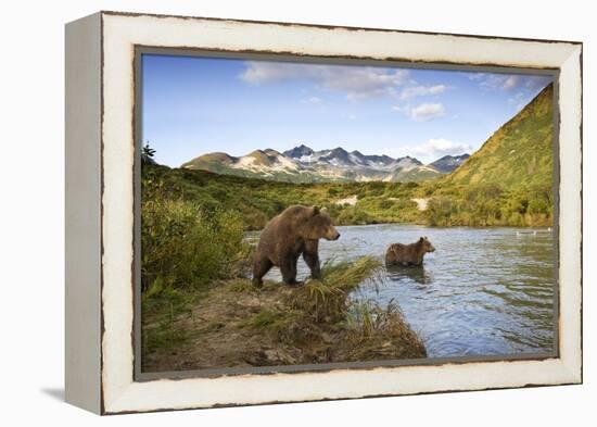 Two Year Old Grizzly Bears on Riverbank at Kinak Bay-Paul Souders-Framed Premier Image Canvas