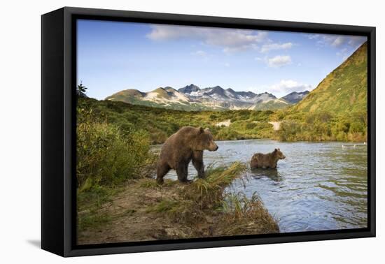 Two Year Old Grizzly Bears on Riverbank at Kinak Bay-Paul Souders-Framed Premier Image Canvas