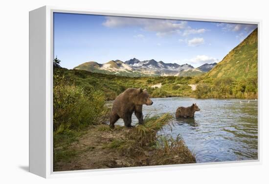 Two Year Old Grizzly Bears on Riverbank at Kinak Bay-Paul Souders-Framed Premier Image Canvas