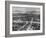 Two Years after Being Destroyed by the U.S. Atomic Bomb-Carl Mydans-Framed Photographic Print