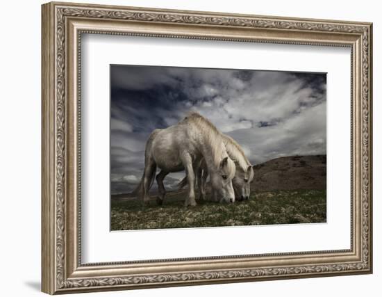 Two Years Later-Bragi Ingibergsson --Framed Photographic Print