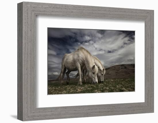 Two Years Later-Bragi Ingibergsson --Framed Photographic Print