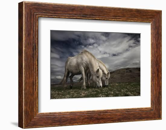 Two Years Later-Bragi Ingibergsson --Framed Photographic Print