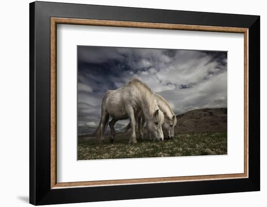 Two Years Later-Bragi Ingibergsson --Framed Photographic Print