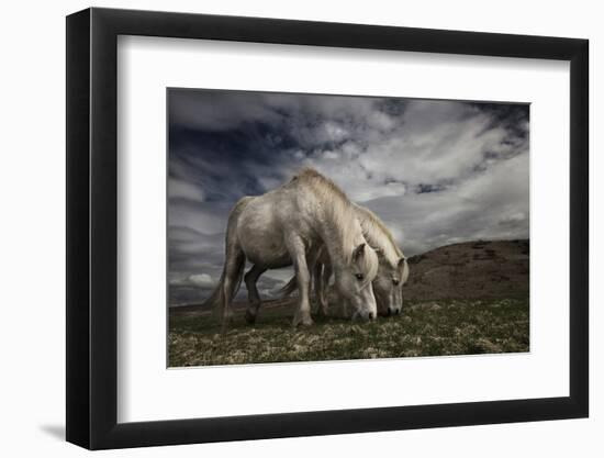 Two Years Later-Bragi Ingibergsson --Framed Photographic Print