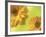 Two Yellow Chrysanthemums-Michelle Garrett-Framed Photographic Print