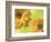 Two Yellow Chrysanthemums-Michelle Garrett-Framed Photographic Print