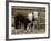 Two Young Cows Graze-null-Framed Photographic Print