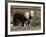 Two Young Cows Graze-null-Framed Photographic Print