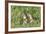 Two Young European Sousliks (Spermophilus Citellus) Alert, Eastern Slovakia, Europe, June 2009-Wothe-Framed Photographic Print